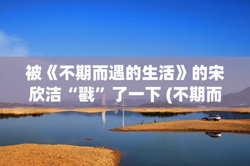 被《不期而遇的生活》的宋欣洁“戳”了一下 (不期而遇的作者)