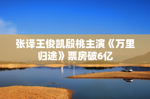 张译王俊凯殷桃主演《万里归途》票房破6亿