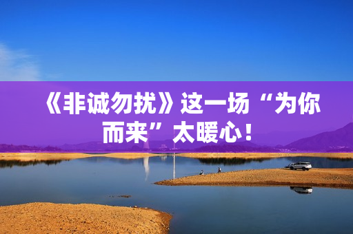 《非诚勿扰》这一场“为你而来”太暖心! 《非诚勿扰》这一场“为你而来”太暖心!