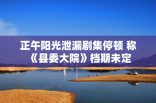 正午阳光泄漏剧集停顿 称《县委大院》档期未定