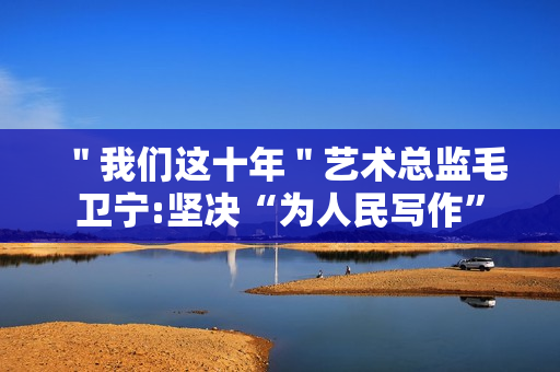 ＂我们这十年＂艺术总监毛卫宁:坚决“为人民写作”