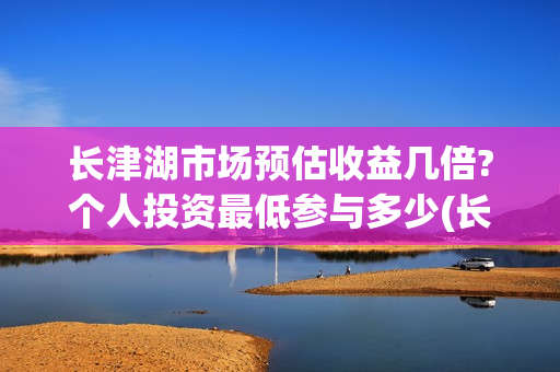 长津湖市场预估收益几倍?个人投资最低参与多少(长津湖涨价)