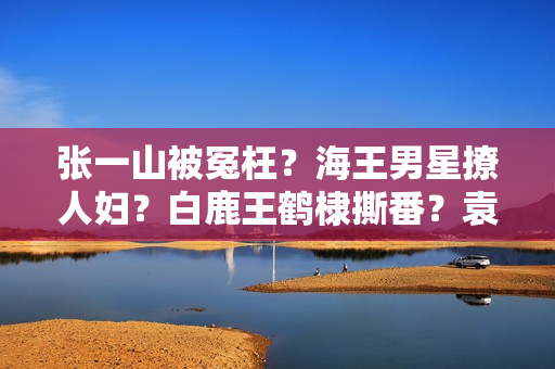 张一山被冤枉？海王男星撩人妇？白鹿王鹤棣撕番？袁冰妍复出？刘浩存搭上于正？