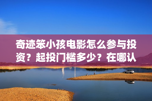 奇迹笨小孩电影怎么参与投资？起投门槛多少？在哪认购份额？(奇迹笨小孩电影免费播放)