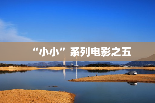 “小小”系列电影之五