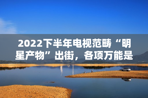 2022下半年电视范畴“明星产物”出街，各项万能是甚么觉得？