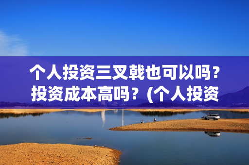 个人投资三叉戟也可以吗？投资成本高吗？(个人投资三个阶段)