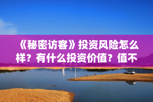 《秘密访客》投资风险怎么样？有什么投资价值？值不值得投资？(秘密访客票房破亿 视频)