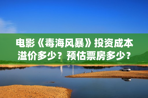 电影《毒海风暴》投资成本溢价多少？预估票房多少？怎么投资? (电影《毒海风暴》在线观看)