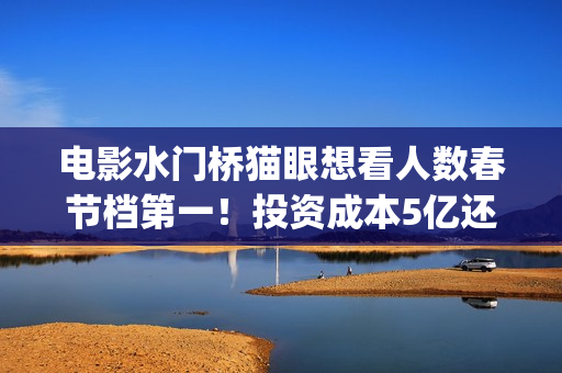电影水门桥猫眼想看人数春节档第一！投资成本5亿还能参与吗？(电影水门桥猫眼是谁演的)