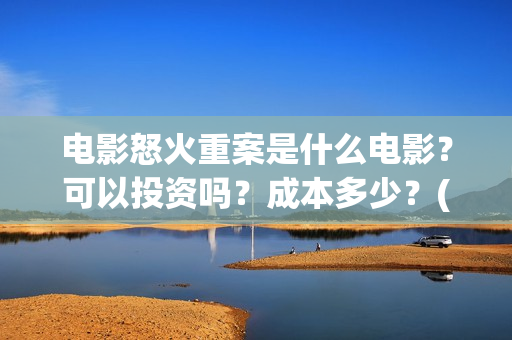 电影怒火重案是什么电影？可以投资吗？成本多少？(电影怒火重案是真实的吗)