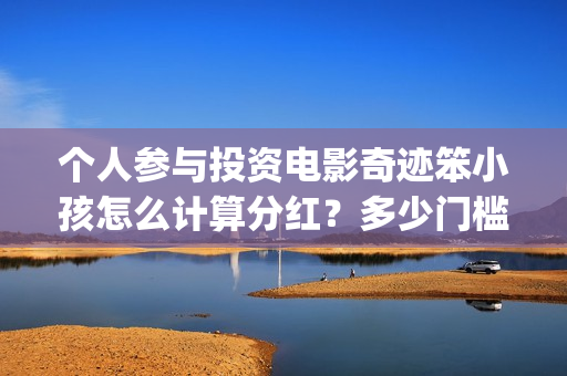 个人参与投资电影奇迹笨小孩怎么计算分红？多少门槛起投？(个人投资者参与)