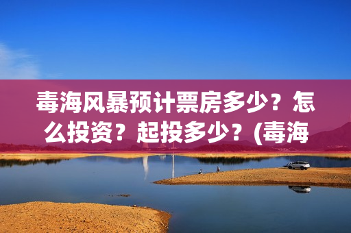毒海风暴预计票房多少？怎么投资？起投多少？(毒海风暴开机了吗)