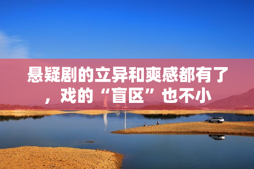 悬疑剧的立异和爽感都有了，戏的“盲区”也不小