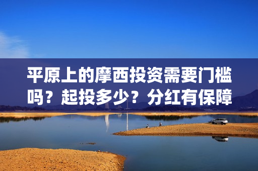 平原上的摩西投资需要门槛吗？起投多少？分红有保障吗？(平原上的摩西为什么改名)