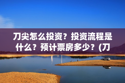 刀尖怎么投资?投资流程是什么?预计票房多少?(刀尖成本) 刀尖怎么投资?投资流程是什么?预计票房多少?(刀尖成本)