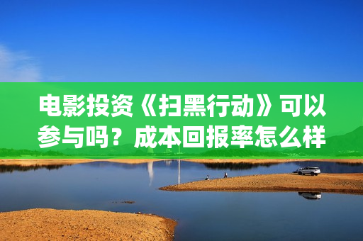 电影投资《扫黑行动》可以参与吗？成本回报率怎么样？是保本的吗？(扫黑这部电影)