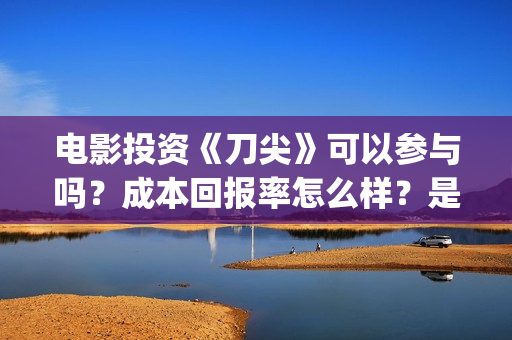电影投资《刀尖》可以参与吗？成本回报率怎么样？是保本的吗？(电影刀尖成本多少)