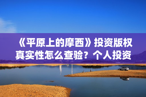 《平原上的摩西》投资版权真实性怎么查验？个人投资规避哪些风险？(平原上的摩西主要讲了什么)
