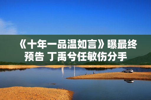 《十年一品温如言》曝最终预告 丁禹兮任敏伤分手
