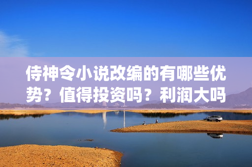 侍神令小说改编的有哪些优势？值得投资吗？利润大吗？(侍神令小说原著)