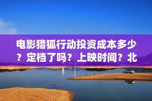 电影猎狐行动投资成本多少？定档了吗？上映时间？北京(猎狐行动 电影)