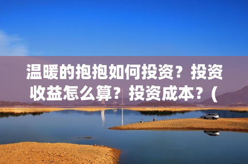温暖的抱抱如何投资？投资收益怎么算？投资成本？(温暖的抱抱太尴尬)
