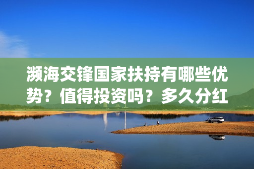 濒海交锋国家扶持有哪些优势？值得投资吗？多久分红？(濒海交锋能投吗)