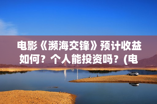 电影《濒海交锋》预计收益如何？个人能投资吗？(电影《濒海交锋》演员表)