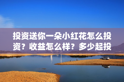 投资送你一朵小红花怎么投资？收益怎么样？多少起投？(送你一朵小红花投资商)