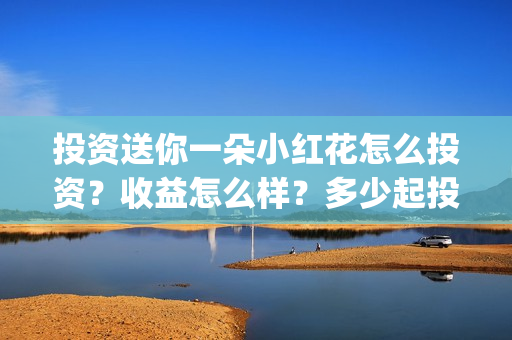 投资送你一朵小红花怎么投资？收益怎么样？多少起投？(投资送你一朵小红花)