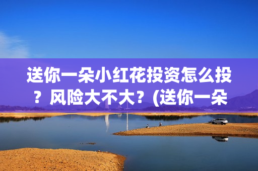 送你一朵小红花投资怎么投?风险大不大?(送你一朵小红花简谱) 送你一朵小红花投资怎么投?风险大不大?(送你一朵小红花简谱)