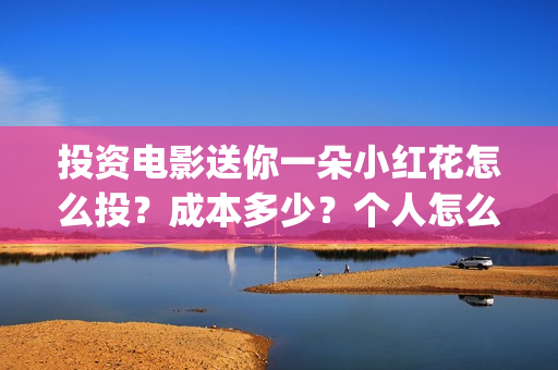 投资电影送你一朵小红花怎么投？成本多少？个人怎么参与？(投资电影一定赚钱吗)
