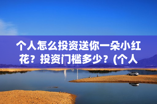 个人怎么投资送你一朵小红花？投资门槛多少？(个人怎么投资pe)