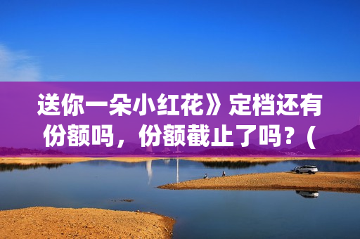 送你一朵小红花》定档还有份额吗，份额截止了吗？(送你一朵小红花电影)