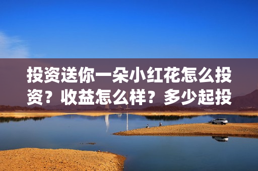 投资送你一朵小红花怎么投资？收益怎么样？多少起投？(投资送你一朵小红花好看吗)