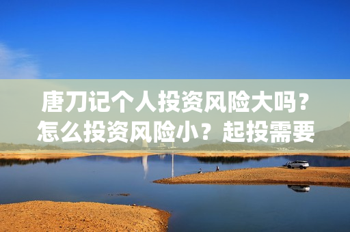 唐刀记个人投资风险大吗？怎么投资风险小？起投需要门槛吗？(唐刀纪录片视频)