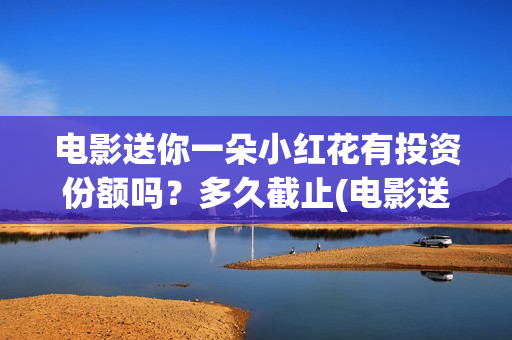 电影送你一朵小红花有投资份额吗？多久截止(电影送你一朵小红花简介)