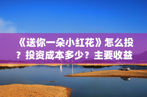 《送你一朵小红花》怎么投？投资成本多少？主要收益有哪些？(送你一朵小红花简谱)