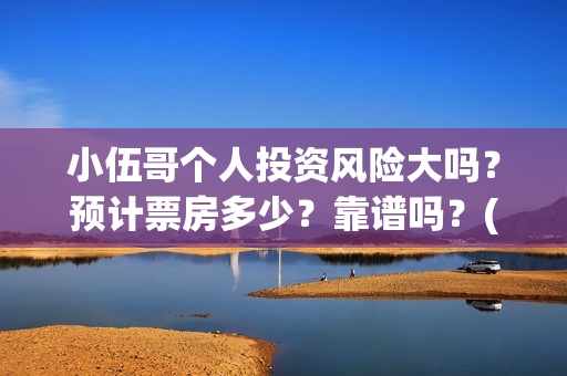小伍哥个人投资风险大吗？预计票房多少？靠谱吗？(小伍哥出品方)