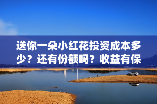 送你一朵小红花投资成本多少？还有份额吗？收益有保障吗？(送你一朵小红花歌词表达什么意思)