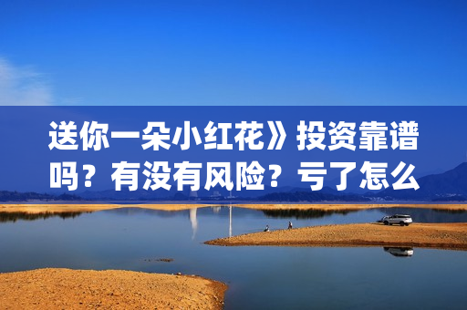 送你一朵小红花》投资靠谱吗？有没有风险？亏了怎么办？(送你一朵小红花电影剧情介绍)