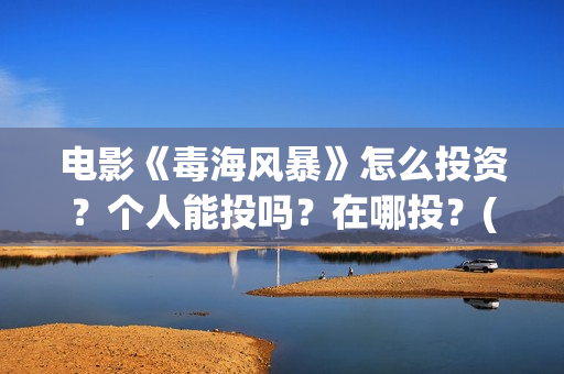 电影《毒海风暴》怎么投资？个人能投吗？在哪投？(毒海风暴有哪几家拍摄)