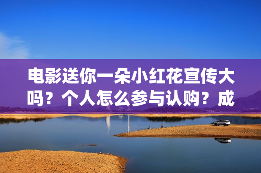 电影送你一朵小红花宣传大吗？个人怎么参与认购？成本是多少？(电影送你一朵小红花完整版免费观看)