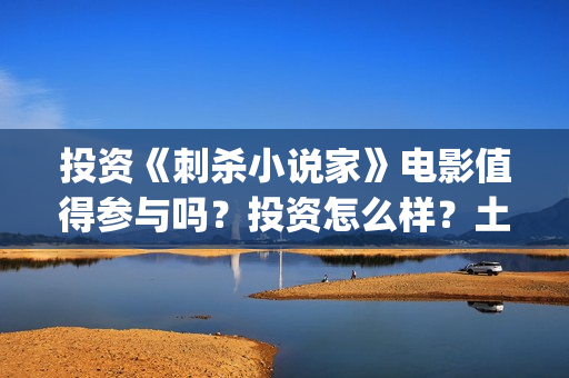 投资《刺杀小说家》电影值得参与吗？投资怎么样？土桥(刺杀小说价)