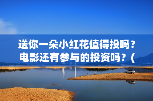 送你一朵小红花值得投吗？电影还有参与的投资吗？(送你一朵小红花电影免费观看)