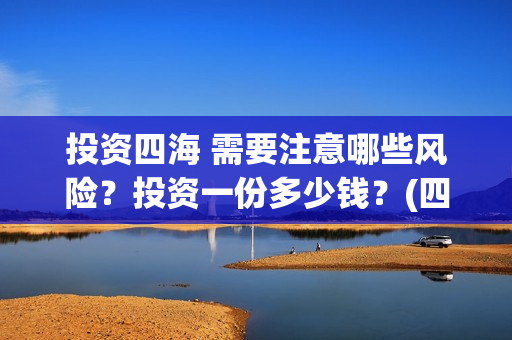 投资四海 需要注意哪些风险？投资一份多少钱？(四海的投资方)