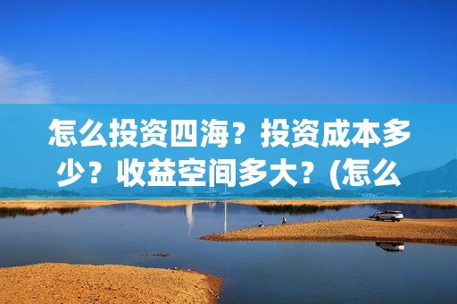 怎么投资四海？投资成本多少？收益空间多大？(怎么投资四海集团公司)