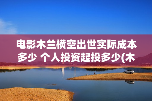 电影木兰横空出世实际成本多少 个人投资起投多少(木兰横空出世 动画片)