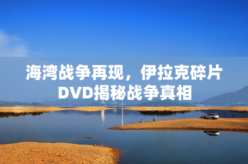 海湾战争再现，伊拉克碎片DVD揭秘战争真相